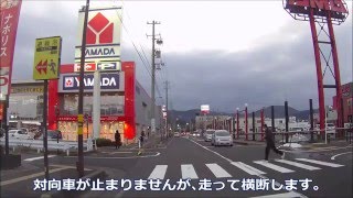 信号のない横断歩道で一時停止　その99（5シーン）