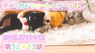 第12 、13話『猫かぶる』『猫の謎』