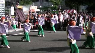 本家高知よさこい２０１０ 支志團 １０日 追手筋 mususukunjp