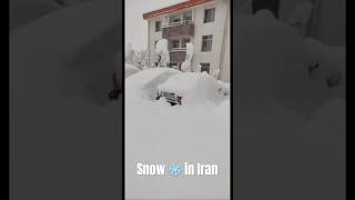 Snow ❄️ in Iran 🇮🇷 today