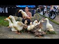Harvest Ducks Goes To Market Sell - Handmade Bamboo Basket Weaving - Lý Thị Ca