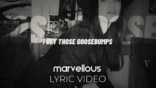 HVME - Goosebumps ( Lyric )