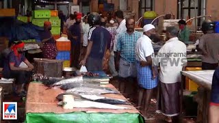 പഴകിയ മൽസ്യം വിൽക്കുന്നെന്ന് പരാതി; കോഴിക്കോട് മാർക്കറ്റിൽ പരിശോധന | Kozhikode fish market