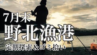 【福岡釣部 in 糸島釣り】 053 【福岡　糸島 野北漁港 定期探索釣り＆ゴミ拾い！】fukuoka fishing club in itoshima nokita port