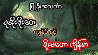 မုဆိုးဖိုးတေ ကျန်ုပ် နှင့် ရိုးမတော ကျိန်စာ - စဆုံး