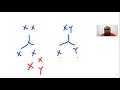 Embryology -1 start from base and below - TOXIC USMLE - Ibrahem Gamal شرح المعادلة الامريكية بالعربي