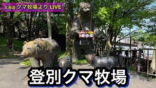 北海道　登別クマ牧場からのLIVE配信