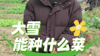 大雪节气能种哪些蔬菜？大雪 种菜 自己种的纯天然的绿色蔬菜 关注我一起学种菜 我的小菜园