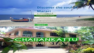 Charankattu homestay|Charankattu B\u0026B Rooms|Marari Beach|Alappuzha|HOMESTAY|OPT VLOGS