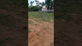 60 cents land at Muringoor | Chalakudy | Thrissur | 2.75 lakhs/cent