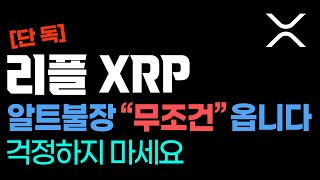 [단독] 리플 XRP 알트불장 \