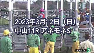 2023年3月12日（日）中山11R アネモネSレース映像【トーセンローリエ】