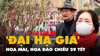 Hoa mai, hoa đào, quất kiểng 'đại hạ giá' chiều 29 Tết vẫn thưa người mua