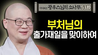 부처님의 출가재일을 맞이하여 [초심으로 돌아가는 광우스님의 소나무 53화]