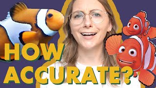 How Accurate is Finding Nemo?