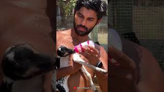 Dhruv Vikram Cute Viral Video 😍❤️✨ #goatbaby #petlove #dhruvvikram #trending #tamil #youtubeshorts