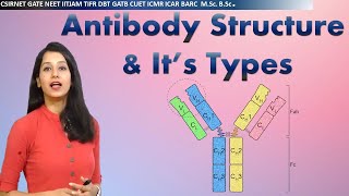 Antibody Structure & it's types I Immunology I Human health & diseases I CSIRNET NEET GATE IITJAM
