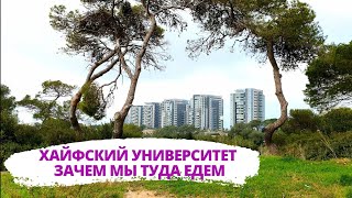 Хайфский университет- самая высокая точка в Хайфе