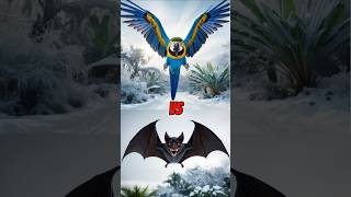 Hyacinth macaw vs. swallow vs. (eagle, snow owl, vampire bat, pigeon). #animals #birds #viralvideo