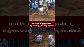 நம்ம ஜெயிச்சுட்டோம் மாறா.. Mass புடி  | Jallikattu | Kumudam Reporter | #Shorts