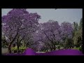 AmaPiano Mix (BEST GROOVE AMAPIANO 2023) | TOBETSA | ZOTATA | JAGERMEISTER | BA STRAATA | Hurshy