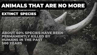 Extinct animals that are no more| 60% of species have been fininshed by himan beings in 500 years