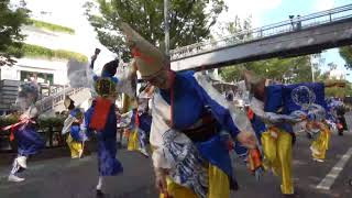 帯屋町筋　４K～原宿表参道元氣祭スーパーよさこい 2019（表参道アヴェニュー）