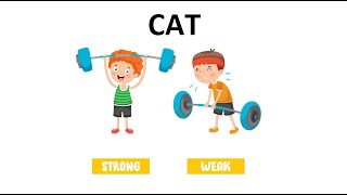 CAT 99.7%ile | Don't Need to Solve full paper | CAT Topper's Strong and Weak Areas