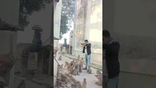 जीवन को अच्छे कार्यों में लगाओ यही साथ है या कुछ नहीं #shortvideo #animals #animallover #motivation