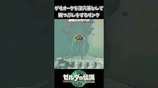 【ティアキン】グリオークを深穴に落として遊ぶリンク【ゼルダの伝説 ティアーズ オブ ザ キングダム】