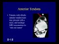 MSK radiology  lecture