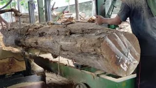 Belah Kayu Jati P 390cm jgn heran fisik tak beraturan,dlm joss.. kayu Jati Blora, Indonesian Sawing