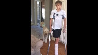 Dog perfectly imitates owner on crutches