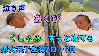 【生後2日～5日】男女双子母子退院まで！Mix twins from 2nd after birth to 5th