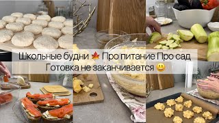 Школьные будни🍁 Про питание / Про сад 👩‍🍳Готовка не заканчивается