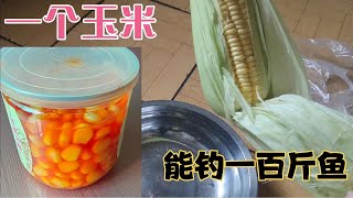 钓鱼：嫩玉米加上这4样东西泡制，再大的鱼也扛不住！