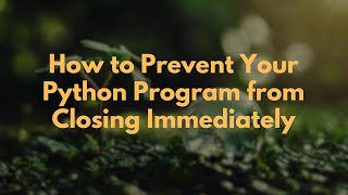 How to Prevent Your Python Program from Closing Immediately