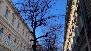 Walking Tour LVIV February 2023 Прогулянка містом Львів