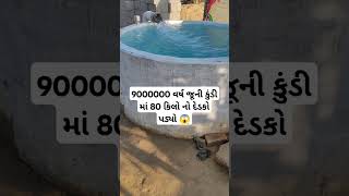 9000000 વર્ષ જૂની કુંડી માં 80 કિલો નો દેડકો પડ્યો 😱#trending #viral #Reels #funny