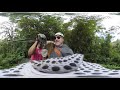 zip lining with dr. david galler in 3d costa rica reingage 12 11 2018