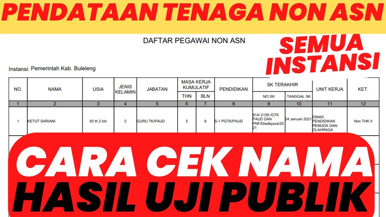 CARA CEK NAMA HASIL UJI PUBLIK PENDATAAN NON ASN - YouTube