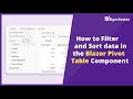 How to Filter and Sort Data in the Blazor Pivot Table Component