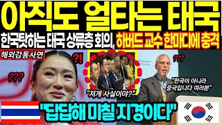 [해외감동사연] 하버드 명문대 교수가 폭로하는 태국의 충격적인 현재 상황, 모든게 한국 때문이라는 태국, 경제학자 한마디에 태국 현지 상황에 충격