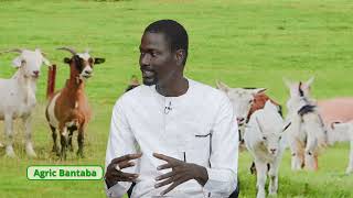 AGRIC BANTABA 05.08.24