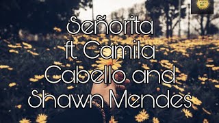 Senorita Lyrics Video