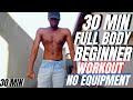 30 MIN FULL BODY WORKOUT - Beginner Version // No Equipment