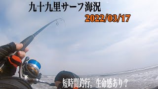 3月17日海況【千葉県九十九里浜】サーフヒラメ狙い。