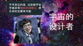 宇宙的设计师。微调的宇宙论证