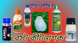 সাদা মাছি নিয়ন্ত্রনের ভালো 5 টি কীটনাশক। Whaite Fly Control TOP 5 Bast Insecticide ।।