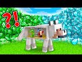 EMERALD & DIAMOND TSUNAMI vs. Mikey & JJ Doomsday Bunker in DOG - Minecraft (Maizen)